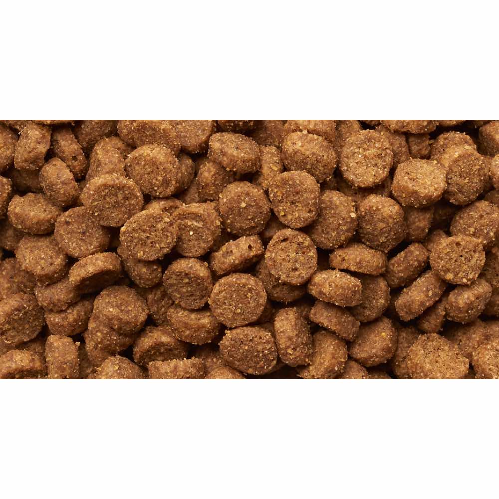 Iams Mature & Senior Chicken Dry Cat Food 2.55kg