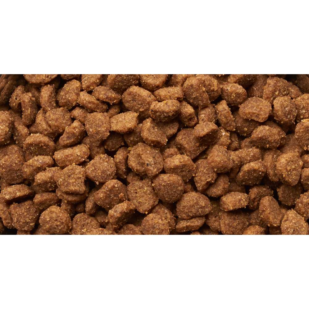 Iams ProActive Health Norwegian Salmon & Chicken Adult Dry Cat Food 3kg