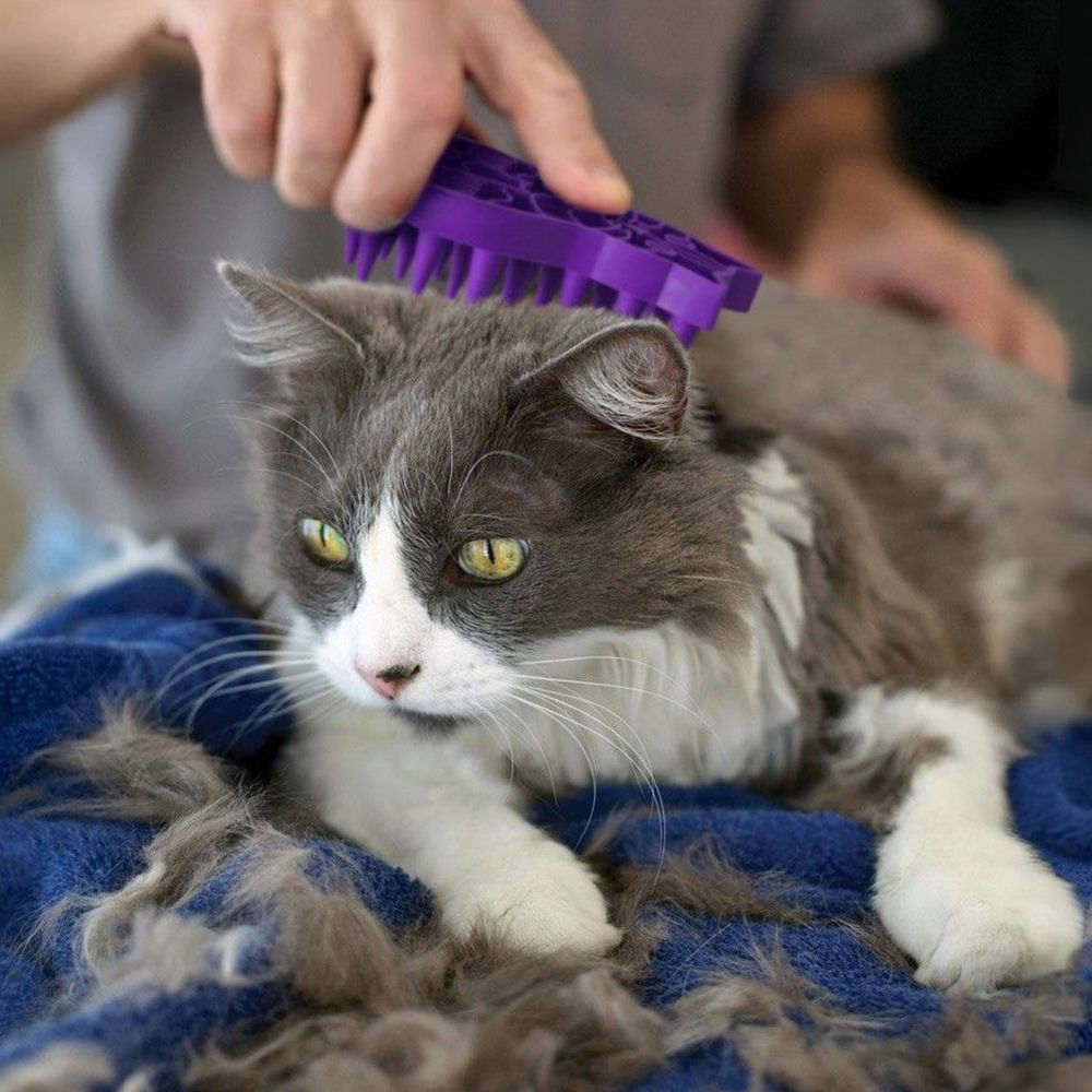 Kong Zoomgroom Cat Brush